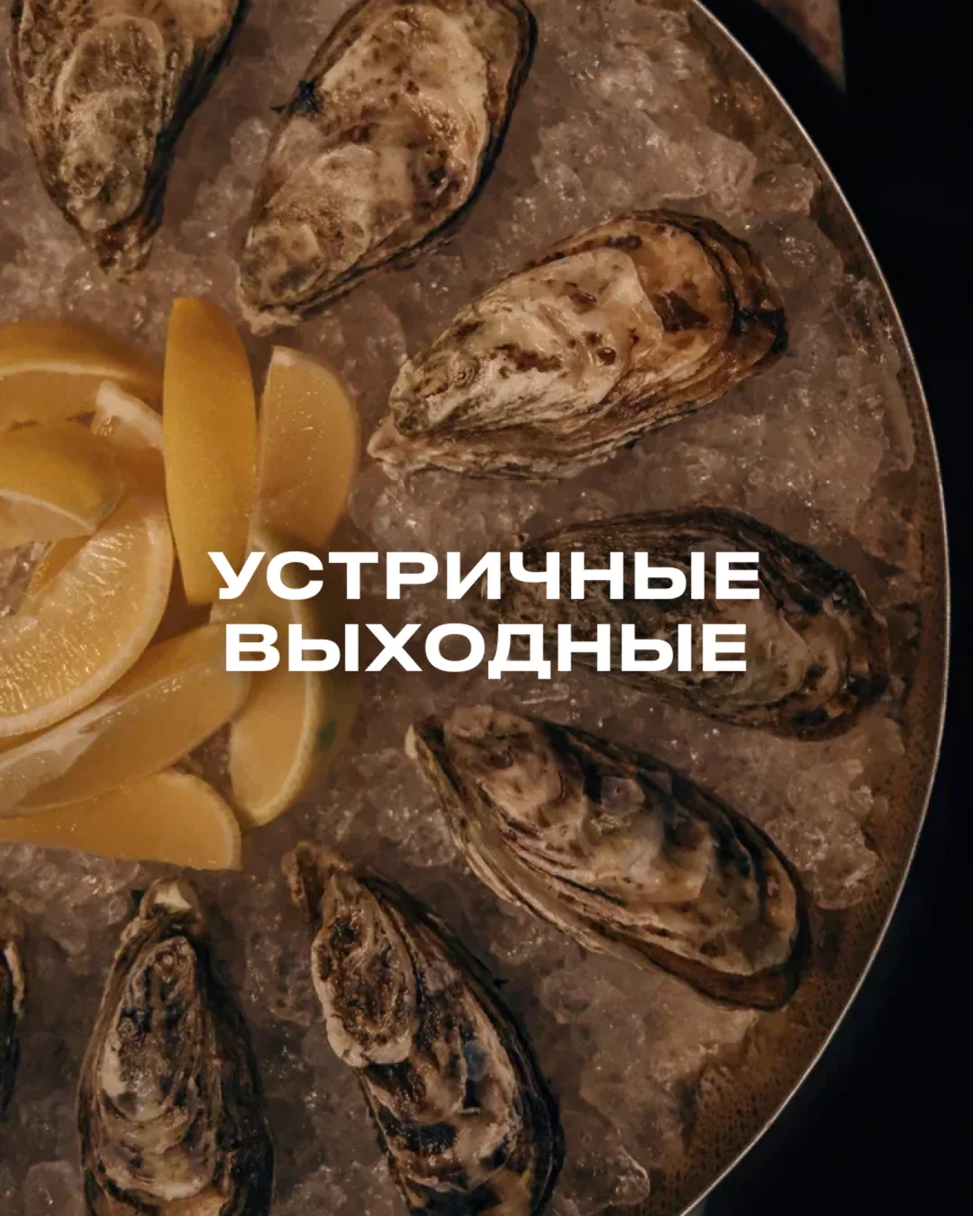 Устричные выходные
