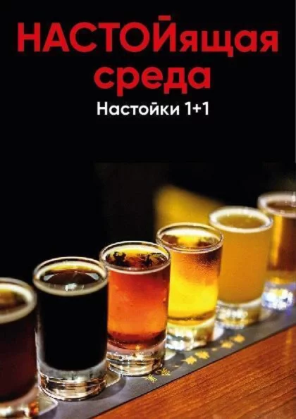 Настойящая среда 1+1