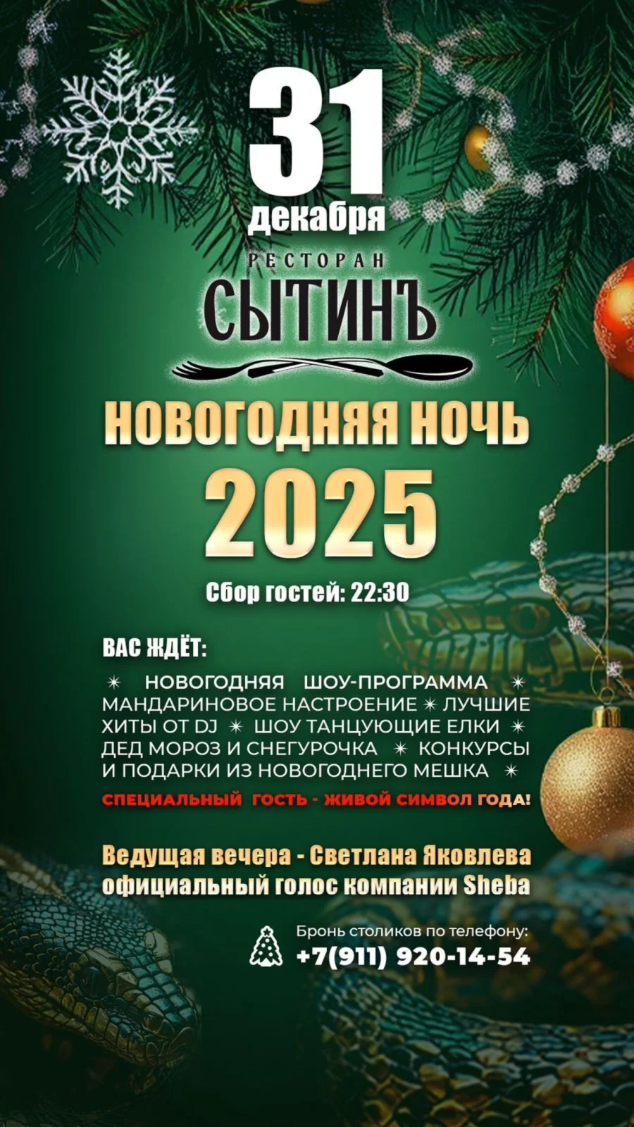 Новогодняя ночь-2025