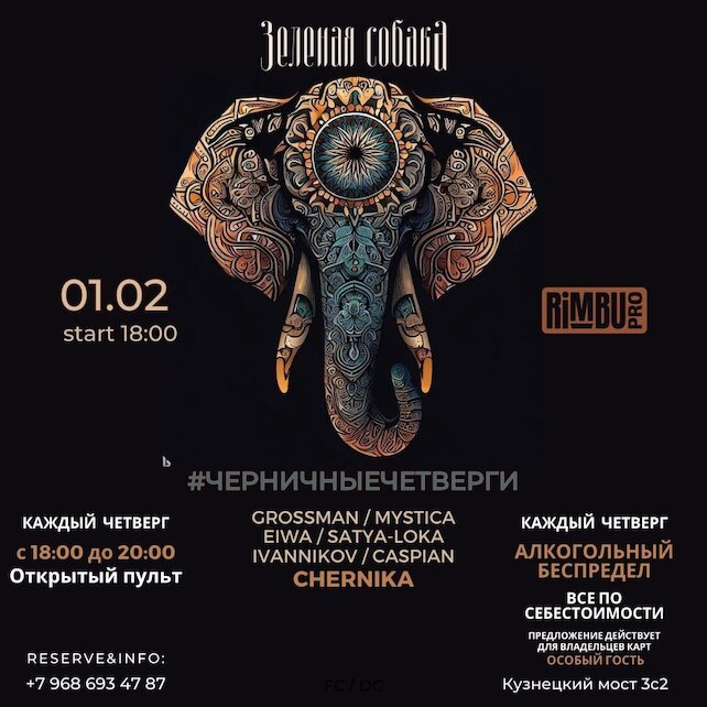 ресторан «Зеленая собака», Вечеринка #черничныечетверги