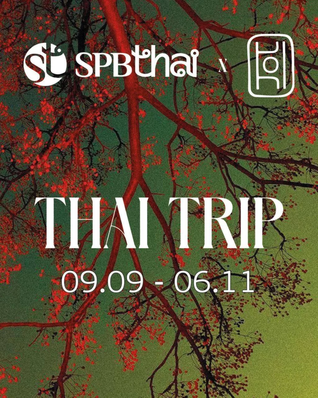 Thai Trip — KOI x Spbthai