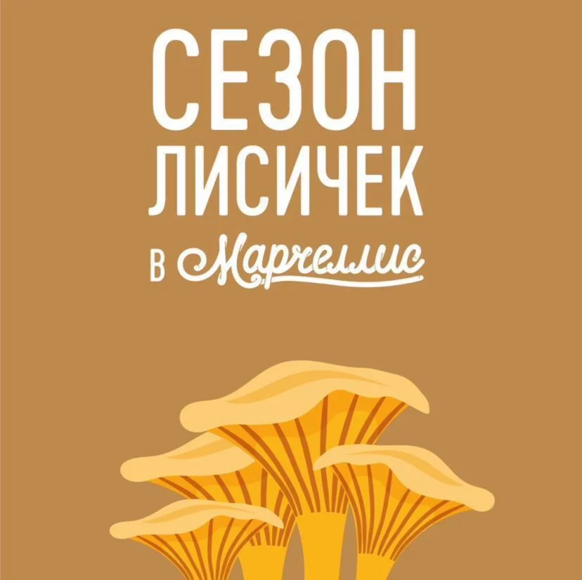 Сезон лисичек