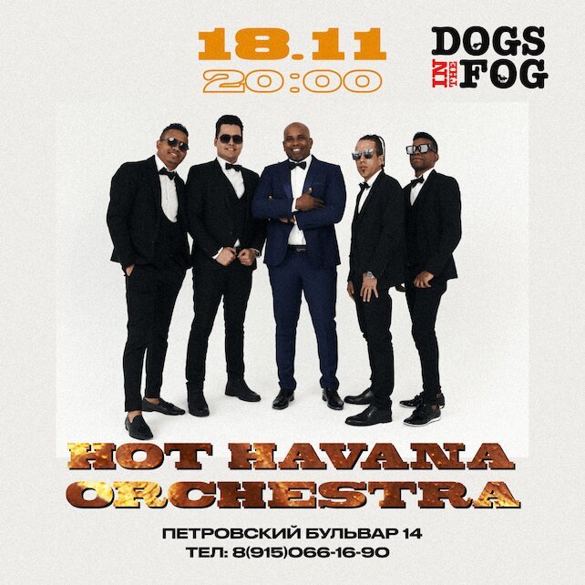 бар «Dogs In The Fog», Концерт Hot Havana Orchestra