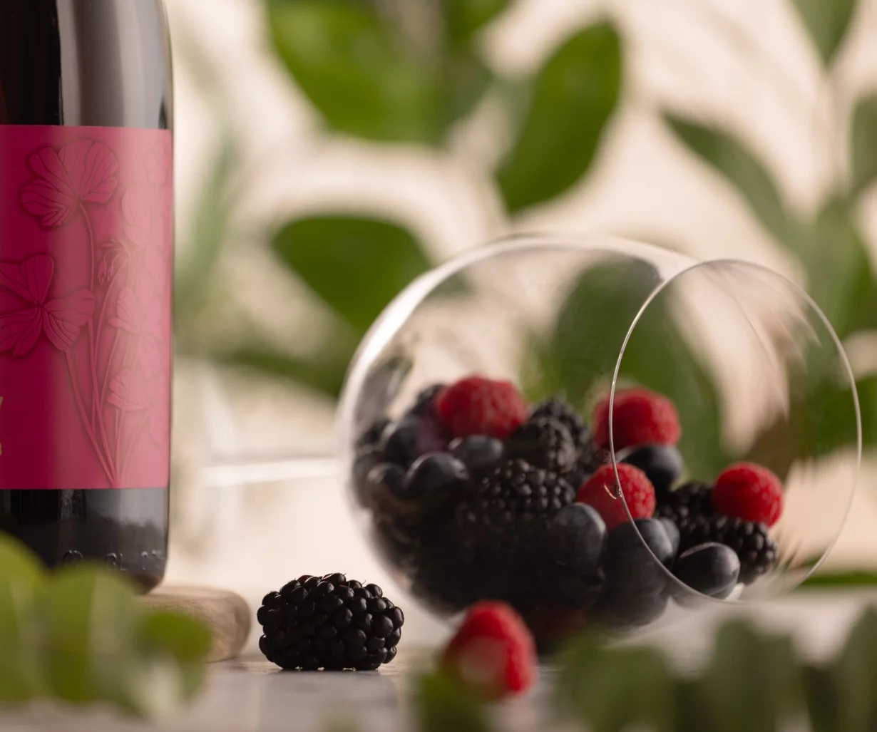 Дарим бутылку вина AYA Purity Syrah на компанию от 6 человек при бронировании