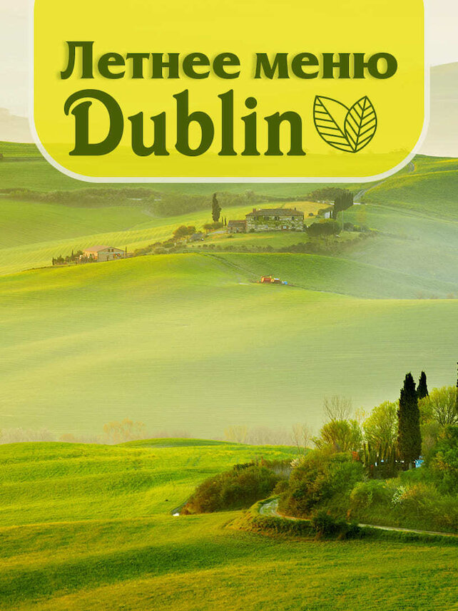 паб «Dublin», Летнее меню