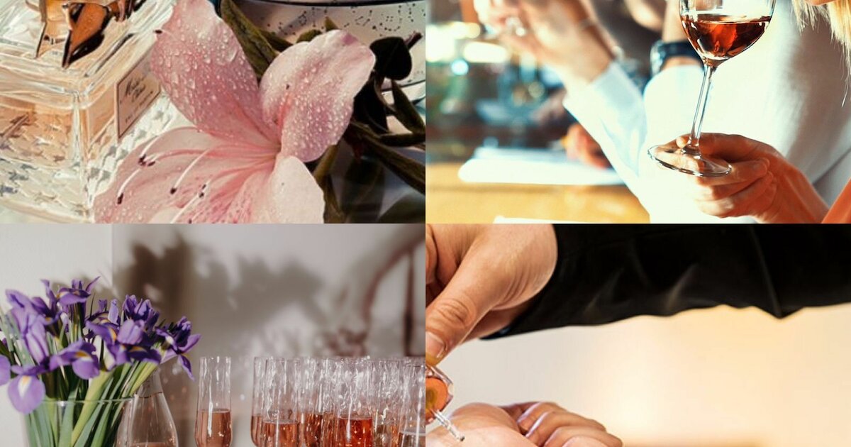 Дегустация и введение в культуру вина. Презентация селективной ...