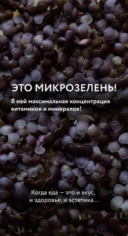 В нашем меню — новинка. Красивая, ароматная, невероятно полезная микрозелень