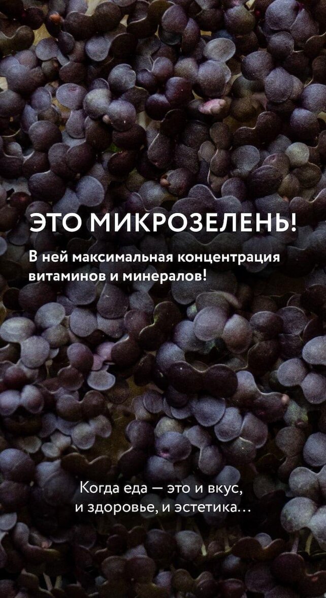 ресторан «Гастродача Вселуг», В нашем меню — новинка. Красивая, ароматная, невероятно полезная микрозелень