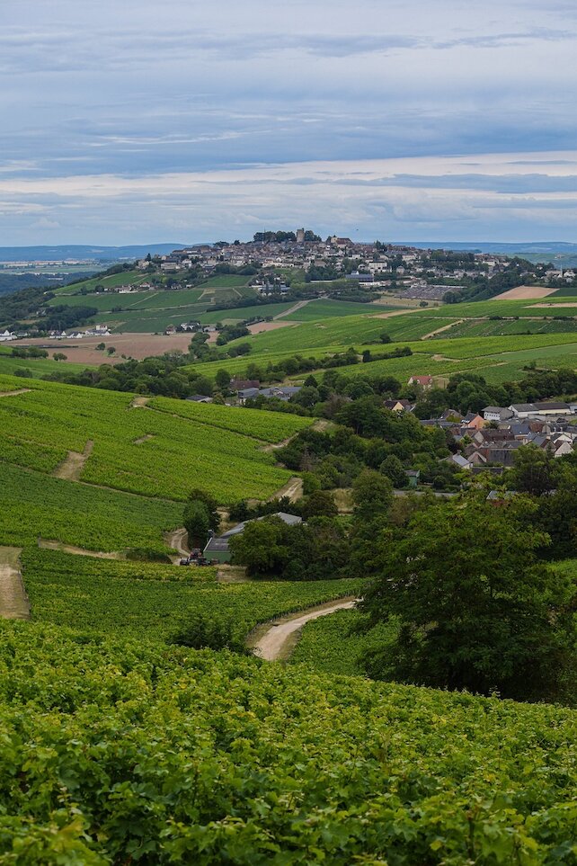 ресторан «Prof.Freud Club», Эногастрономический ужин "Записки виноделов"