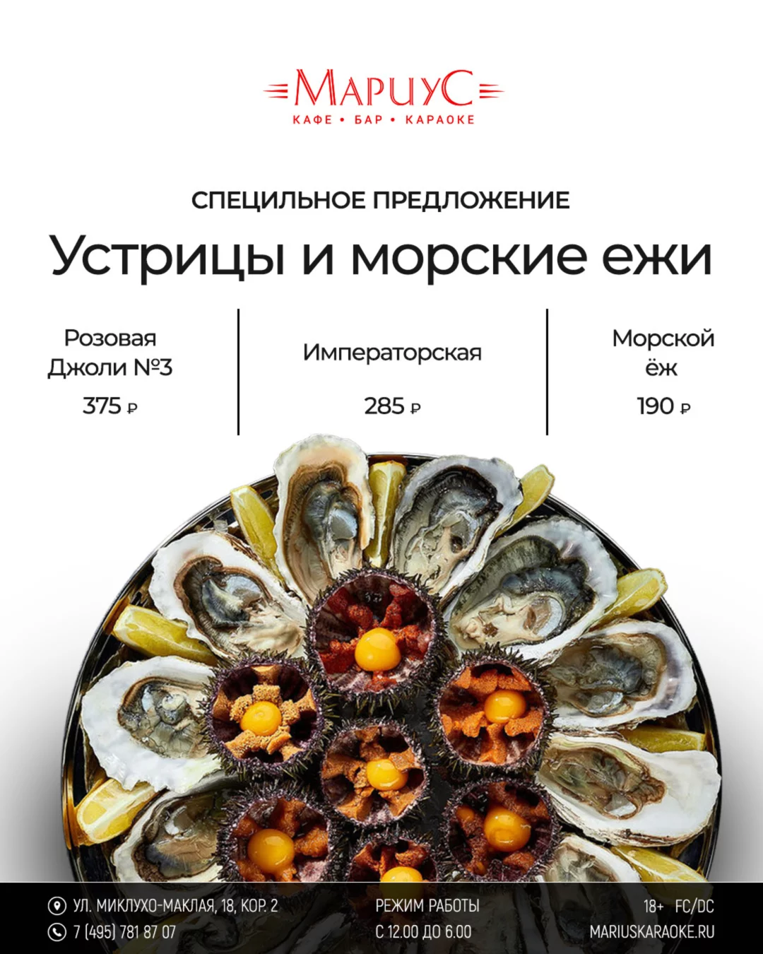 Устрицы и морские ежи по специальной цене