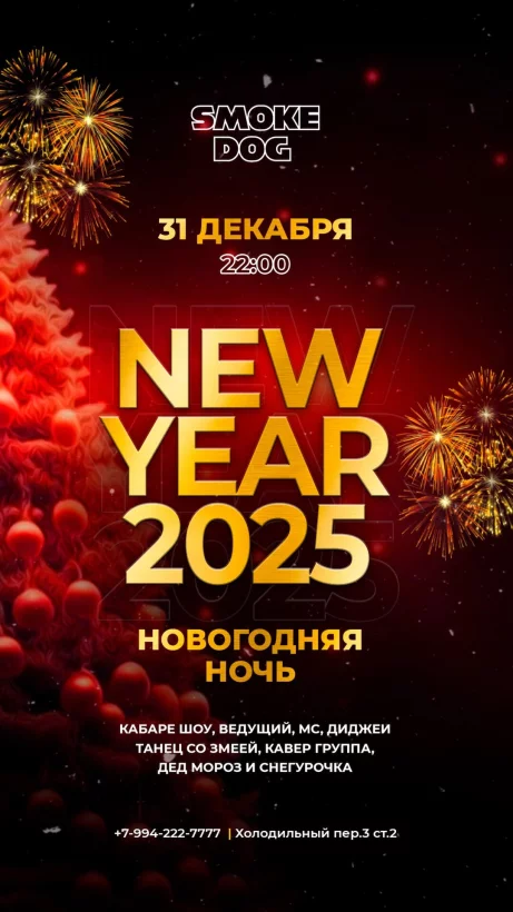 Новогодняя ночь 2025