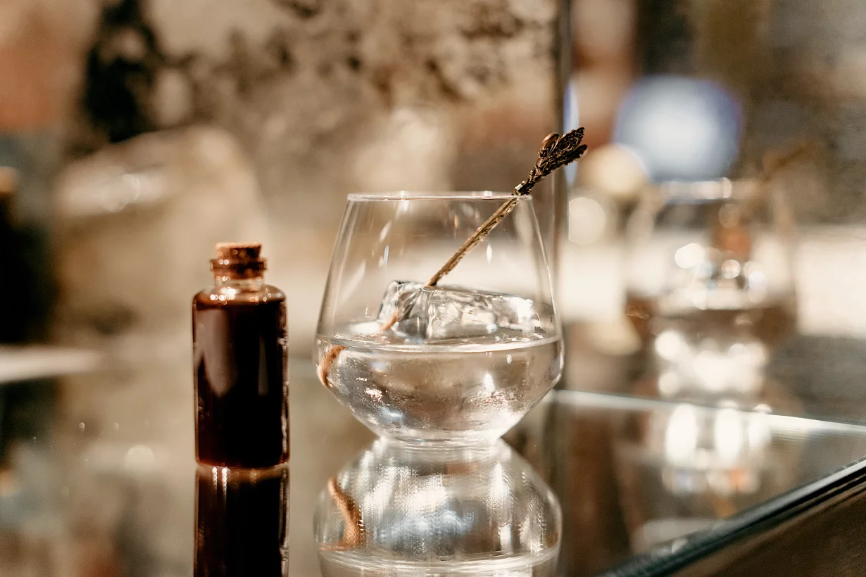 Sangre Negroni в лаунж Smena