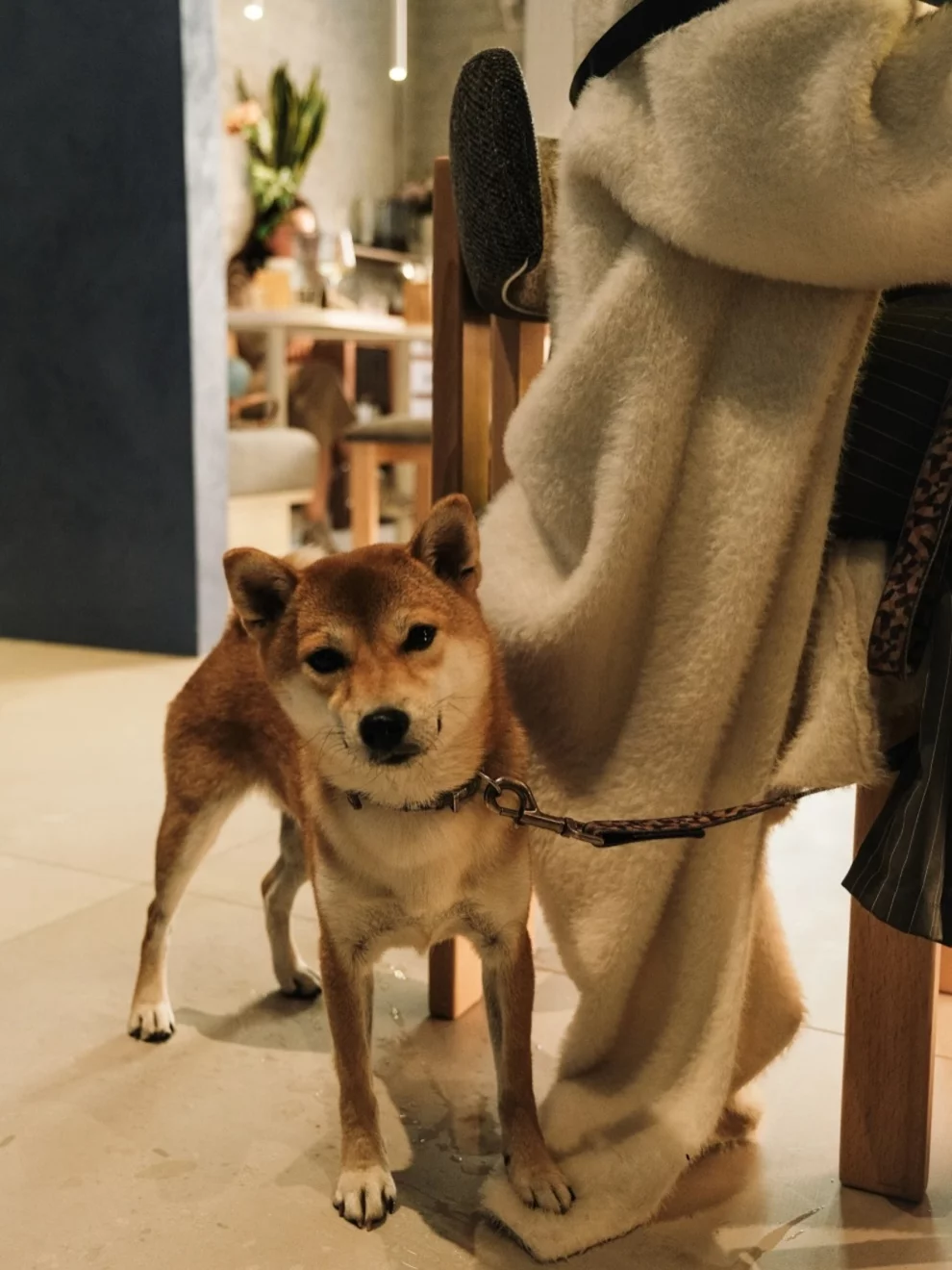 Интерьер/Экстерьер/Банкетная зона/Бар/Стол для двоих/Вход/Главный зал/Lounge зона кафе Вихри фото