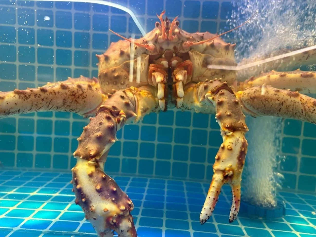 Интерьер/Экстерьер/Банкетная зона/Бар/Стол для двоих/Вход/Главный зал/Lounge зона ресторан Шанхай фото