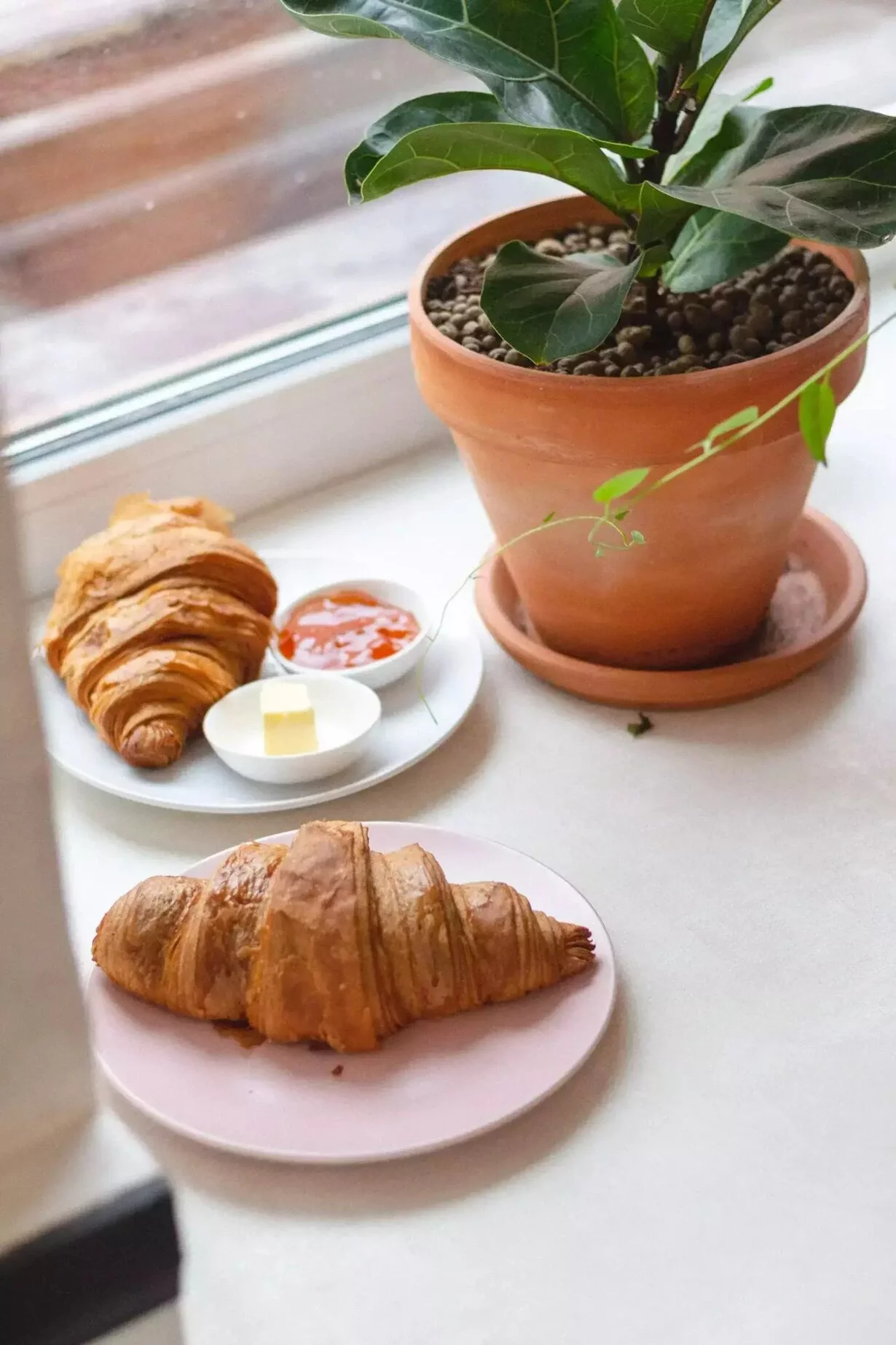 Cake breakfast манежный пер 1 4 фото Cake breakfast манежный пер 1 4 фото