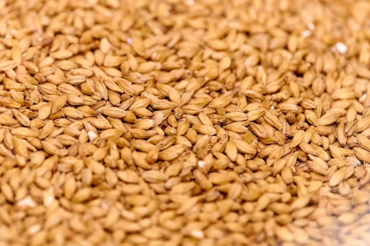 Интерьер/Экстерьер/Банкетная зона/Бар/Стол для двоих/Вход/Главный зал/Lounge зона бар Pivzavod77 фото