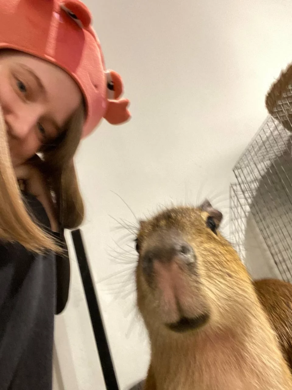 Интерьер/Экстерьер/Банкетная зона/Бар/Стол для двоих/Вход/Главный зал/Lounge зона антикафе Бар Капибар фото