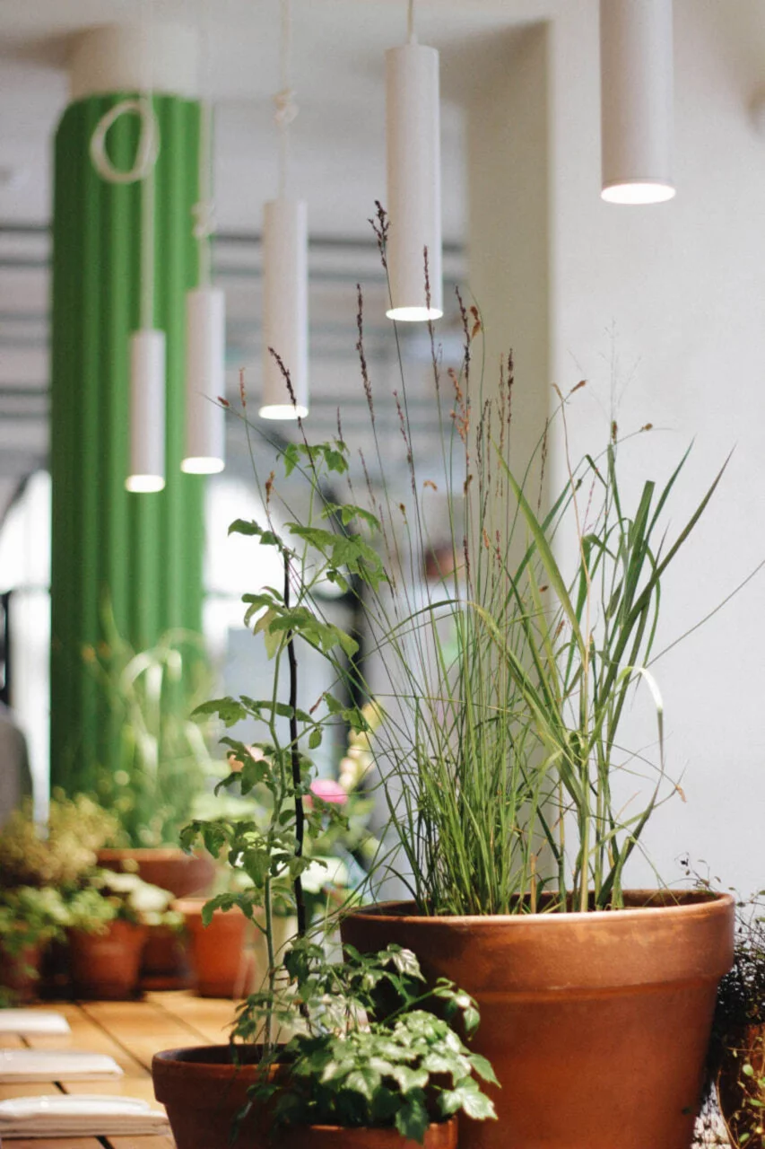 Интерьер/Экстерьер/Банкетная зона/Бар/Стол для двоих/Вход/Главный зал/Lounge зона ресторан Animals фото