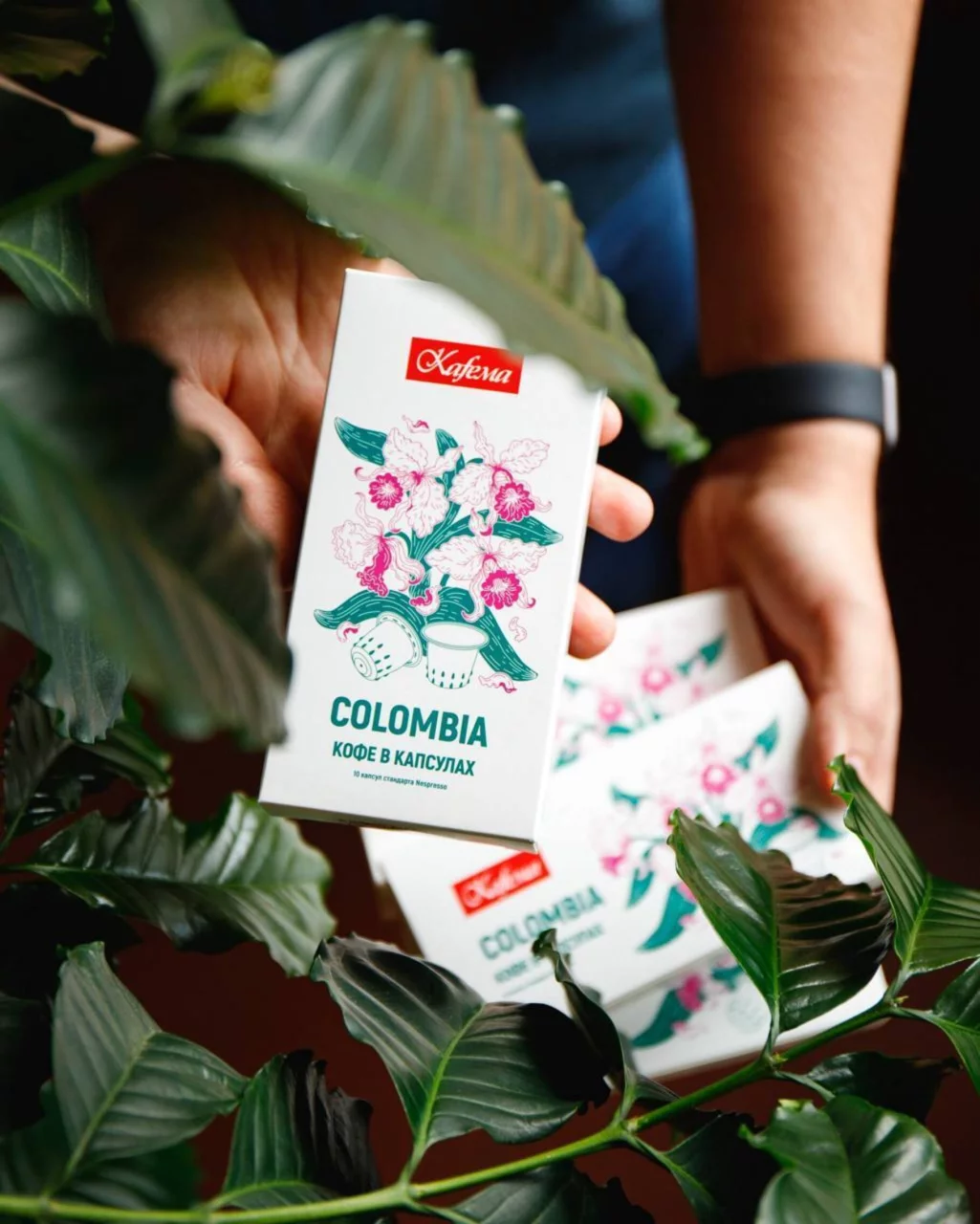 Интерьер/Экстерьер/Банкетная зона/Бар/Стол для двоих/Вход/Главный зал/Lounge зона кофейня Кафема фото