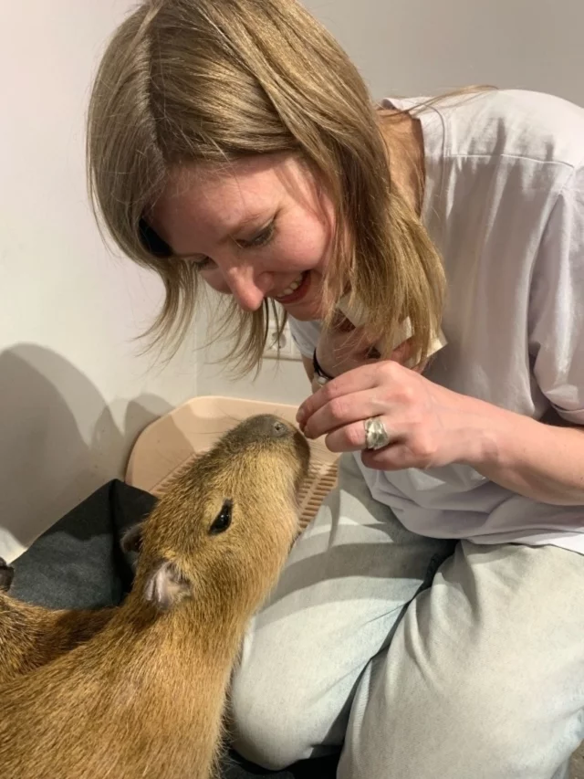 Интерьер/Экстерьер/Банкетная зона/Бар/Стол для двоих/Вход/Главный зал/Lounge зона антикафе Бар Капибар фото