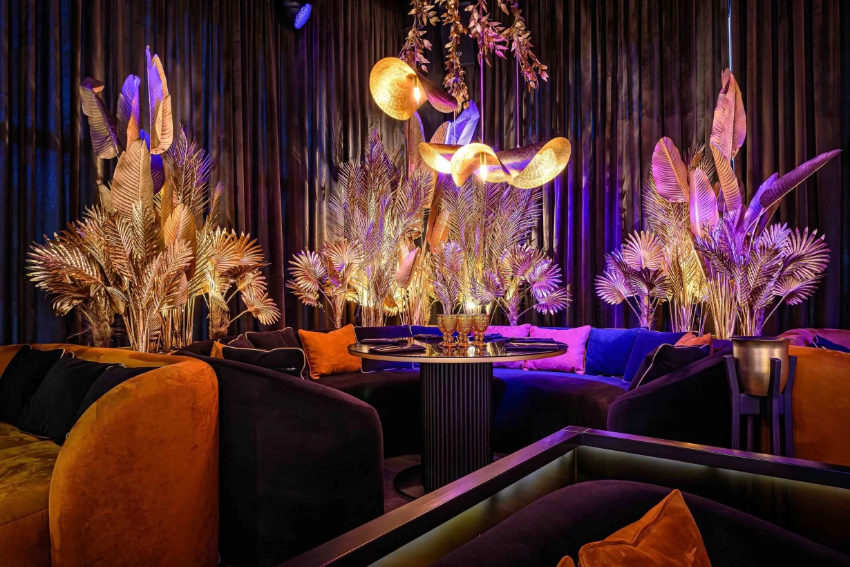 Интерьер/Экстерьер/Банкетная зона/Бар/Стол для двоих/Вход/Главный зал/Lounge зона караоке-клуб Tunes фото