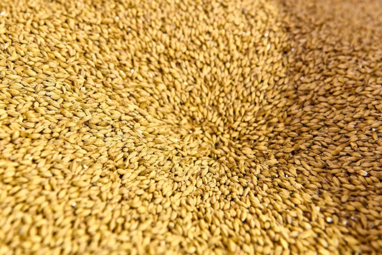 Интерьер/Экстерьер/Банкетная зона/Бар/Стол для двоих/Вход/Главный зал/Lounge зона бар Pivzavod77 фото