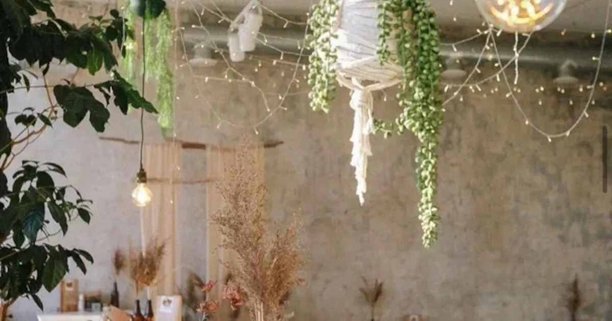 Cafe tree — ресторан, Владивосток