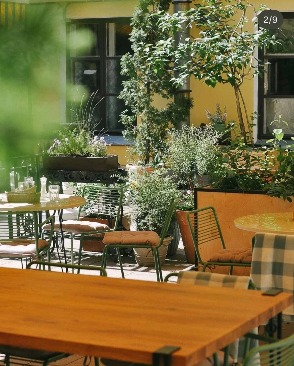 Solids гатчинская ул 16 фото Solids гатчинская ул 16 фото