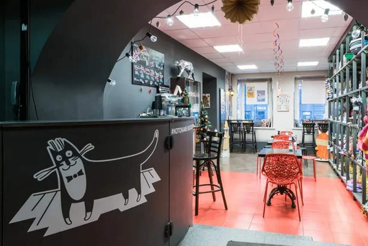 Республика котов литейный просп 60 фото Республика котов литейный просп 60 фото