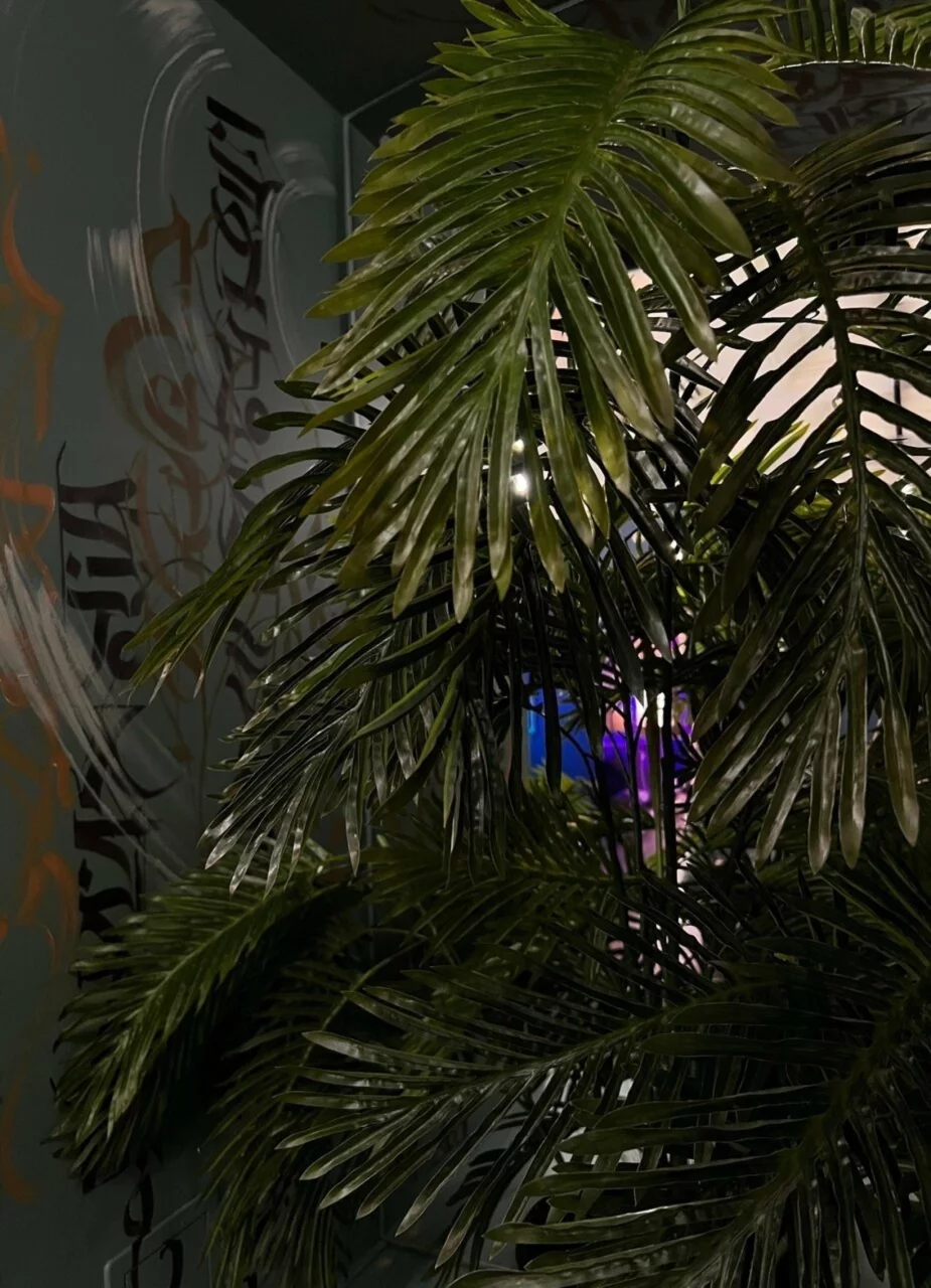 Интерьер/Экстерьер/Банкетная зона/Бар/Стол для двоих/Вход/Главный зал/Lounge зона лаунж Hills фото