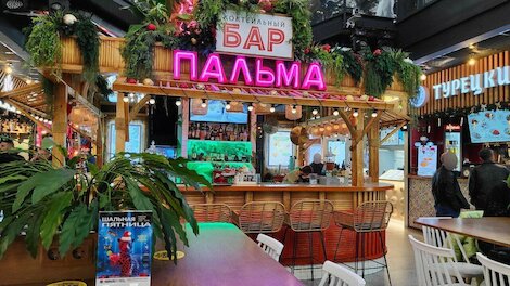 Пальма