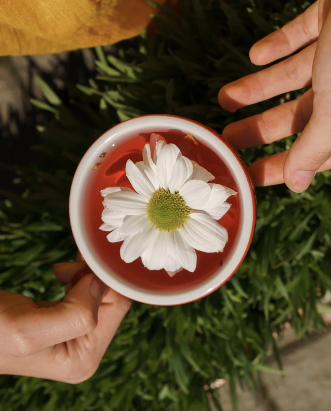 Интерьер/Экстерьер/Банкетная зона/Бар/Стол для двоих/Вход/Главный зал/Lounge зона кофейня Кафема фото