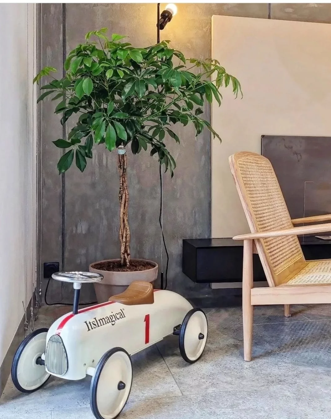 Интерьер/Экстерьер/Банкетная зона/Бар/Стол для двоих/Вход/Главный зал/Lounge зона кофейня Варежка фото