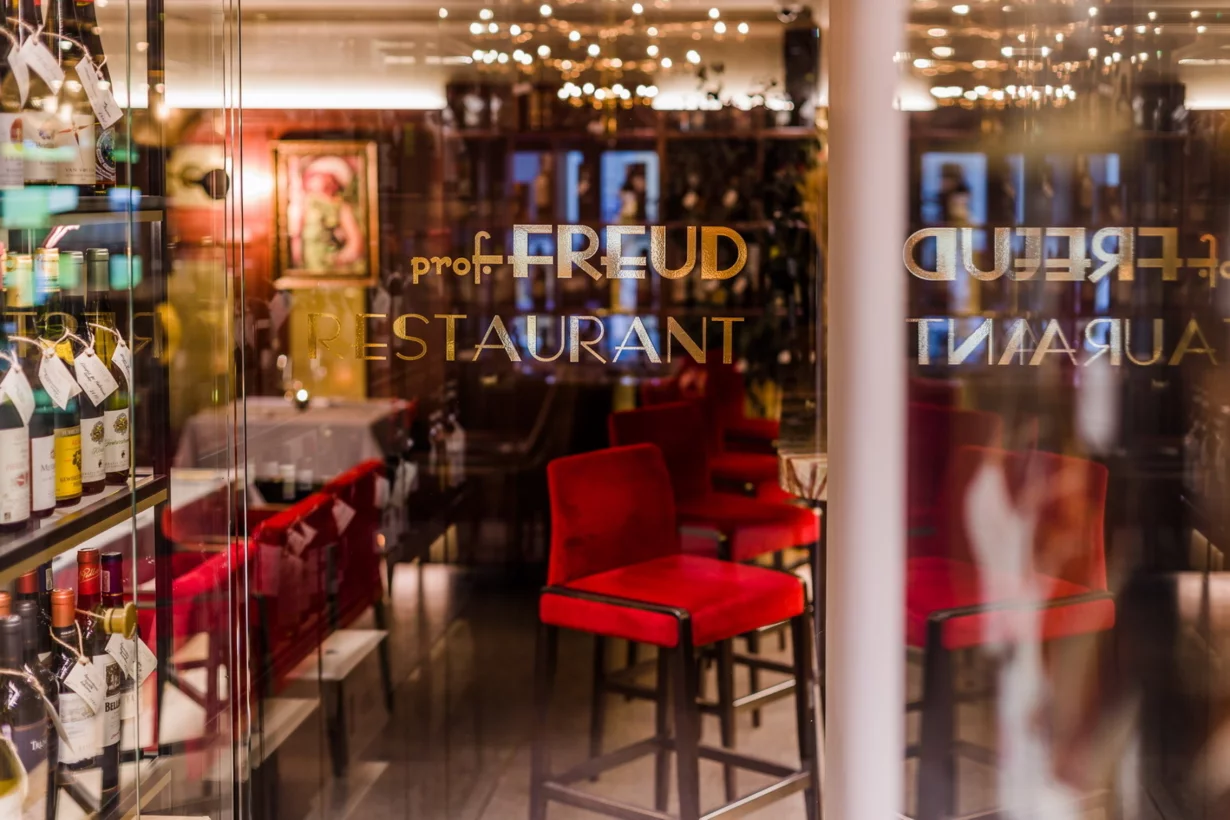 Профессор фрейд малая морская ул 18 фото Профессор фрейд малая морская ул 18 фото