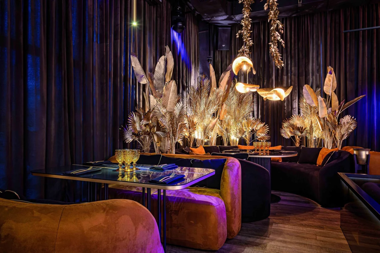 Интерьер/Экстерьер/Банкетная зона/Бар/Стол для двоих/Вход/Главный зал/Lounge зона караоке-клуб Tunes фото