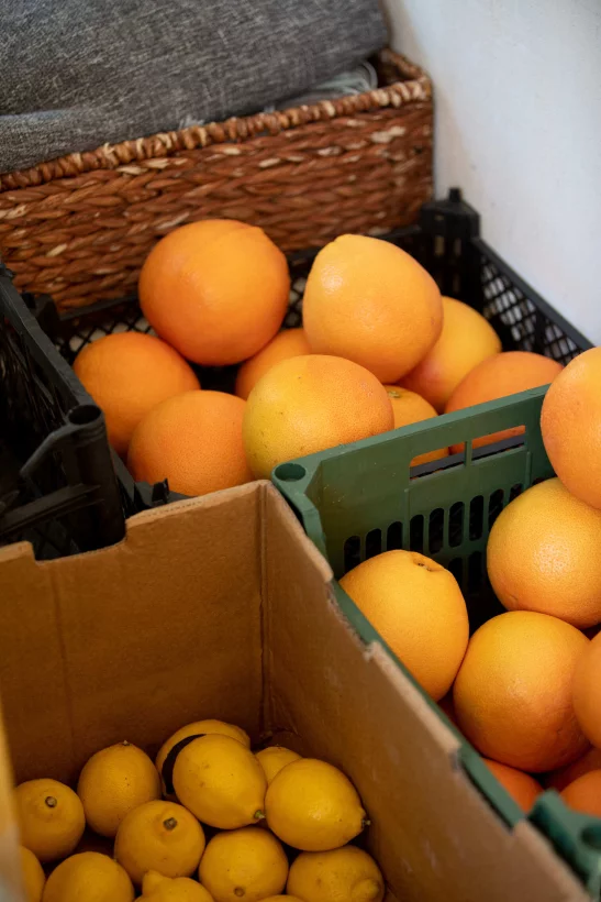 Интерьер/Экстерьер/Банкетная зона/Бар/Стол для двоих/Вход/Главный зал/Lounge зона ресторан Animals фото