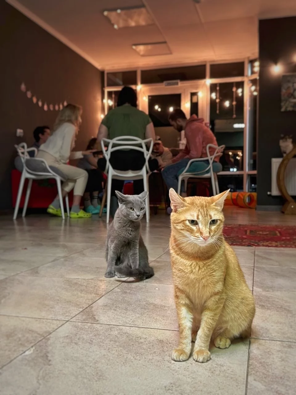 Интерьер/Экстерьер/Банкетная зона/Бар/Стол для двоих/Вход/Главный зал/Lounge зона антикафе Забавное место фото