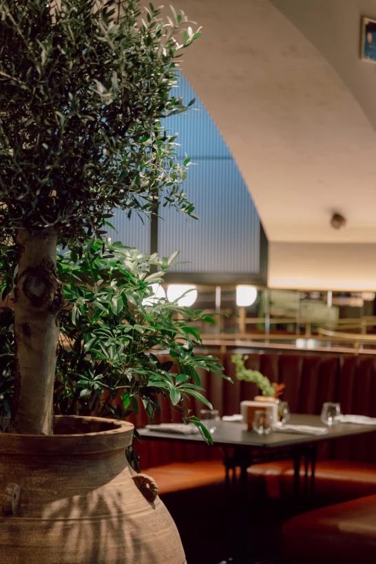 Интерьер/Экстерьер/Банкетная зона/Бар/Стол для двоих/Вход/Главный зал/Lounge зона ресторан Pádre Khinkali фото