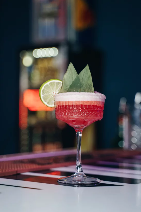 Интерьер/Экстерьер/Банкетная зона/Бар/Стол для двоих/Вход/Главный зал/Lounge зона караоке-клуб Опера фото