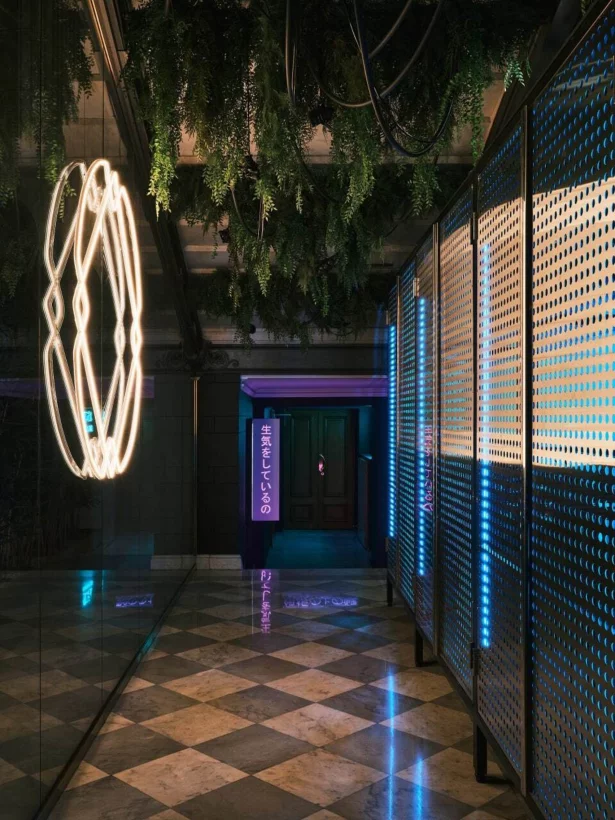 Ohana lounge ул горького 2 фото Ohana lounge ул горького 2 фото