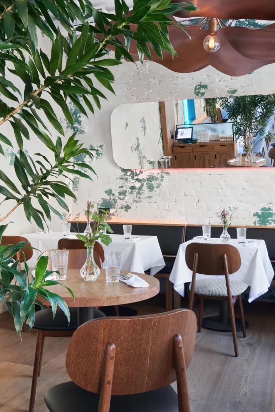 Avocado queen ул карла маркса 65а фото Avocado queen ул карла маркса 65а фото