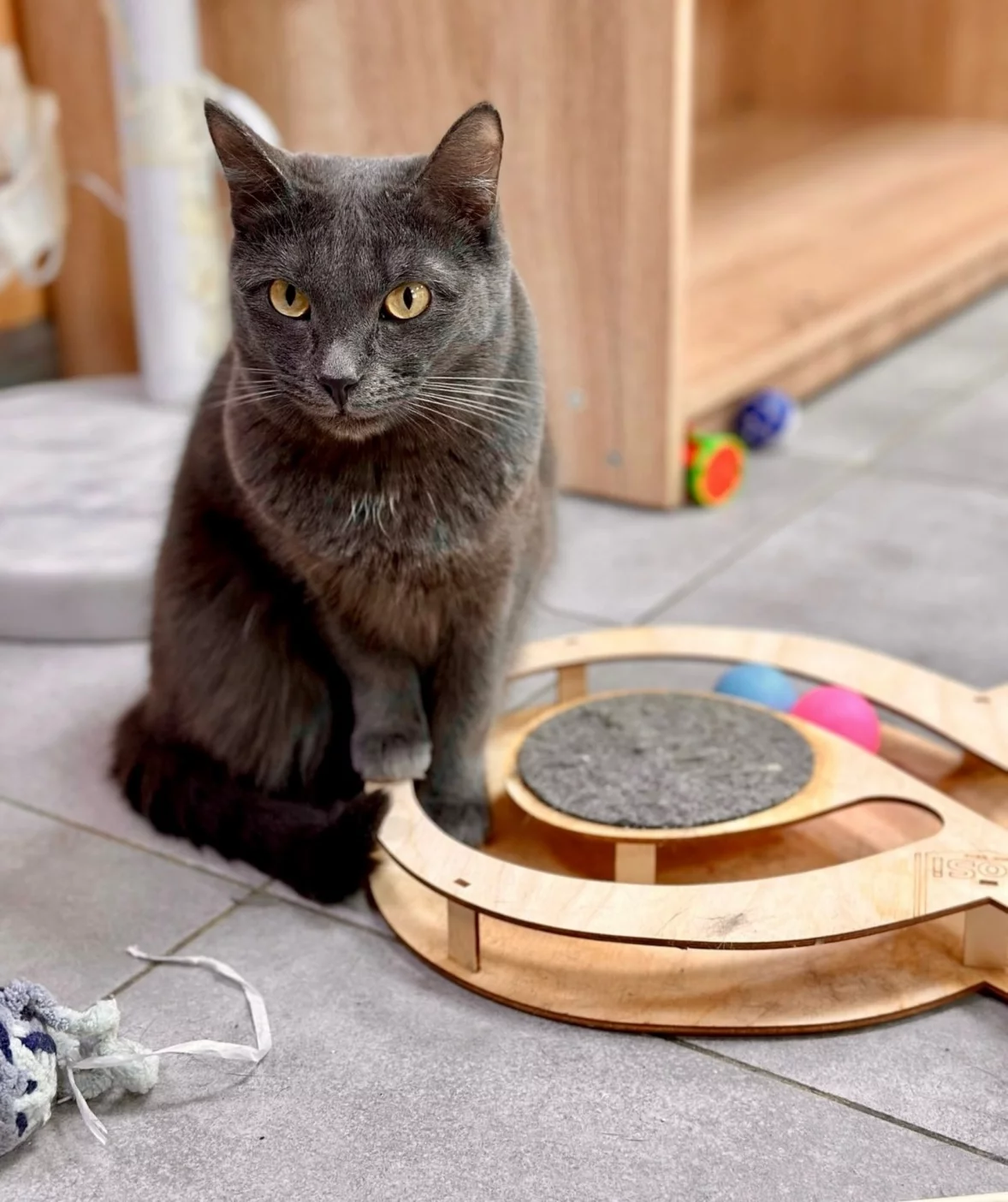 Интерьер/Экстерьер/Банкетная зона/Бар/Стол для двоих/Вход/Главный зал/Lounge зона антикафе Котландия фото