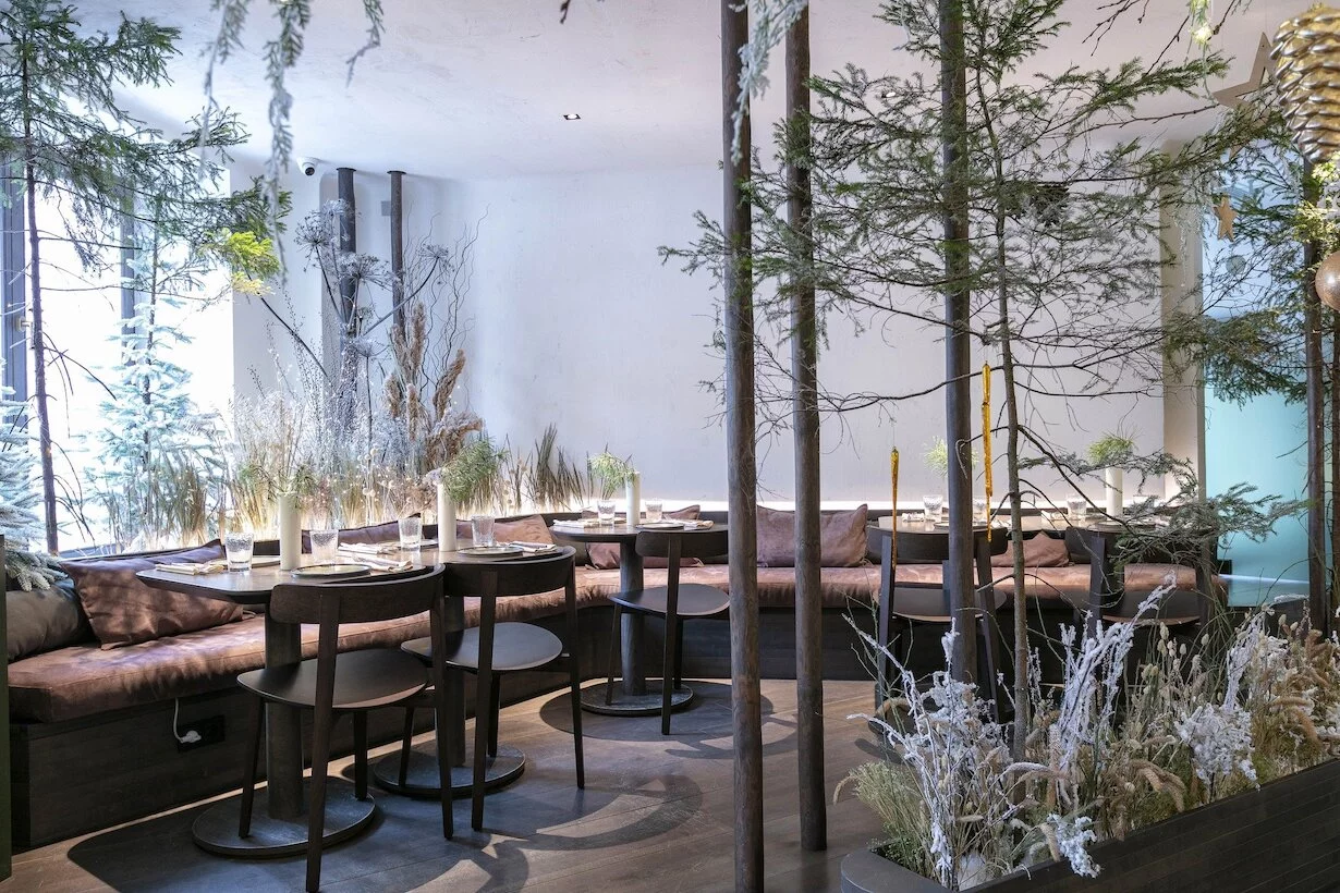 Лес lounge московская ул 21 фото Лес lounge московская ул 21 фото