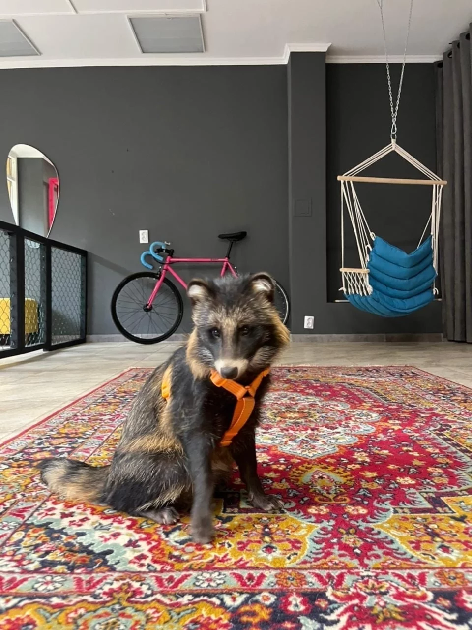 Интерьер/Экстерьер/Банкетная зона/Бар/Стол для двоих/Вход/Главный зал/Lounge зона антикафе Забавное место фото