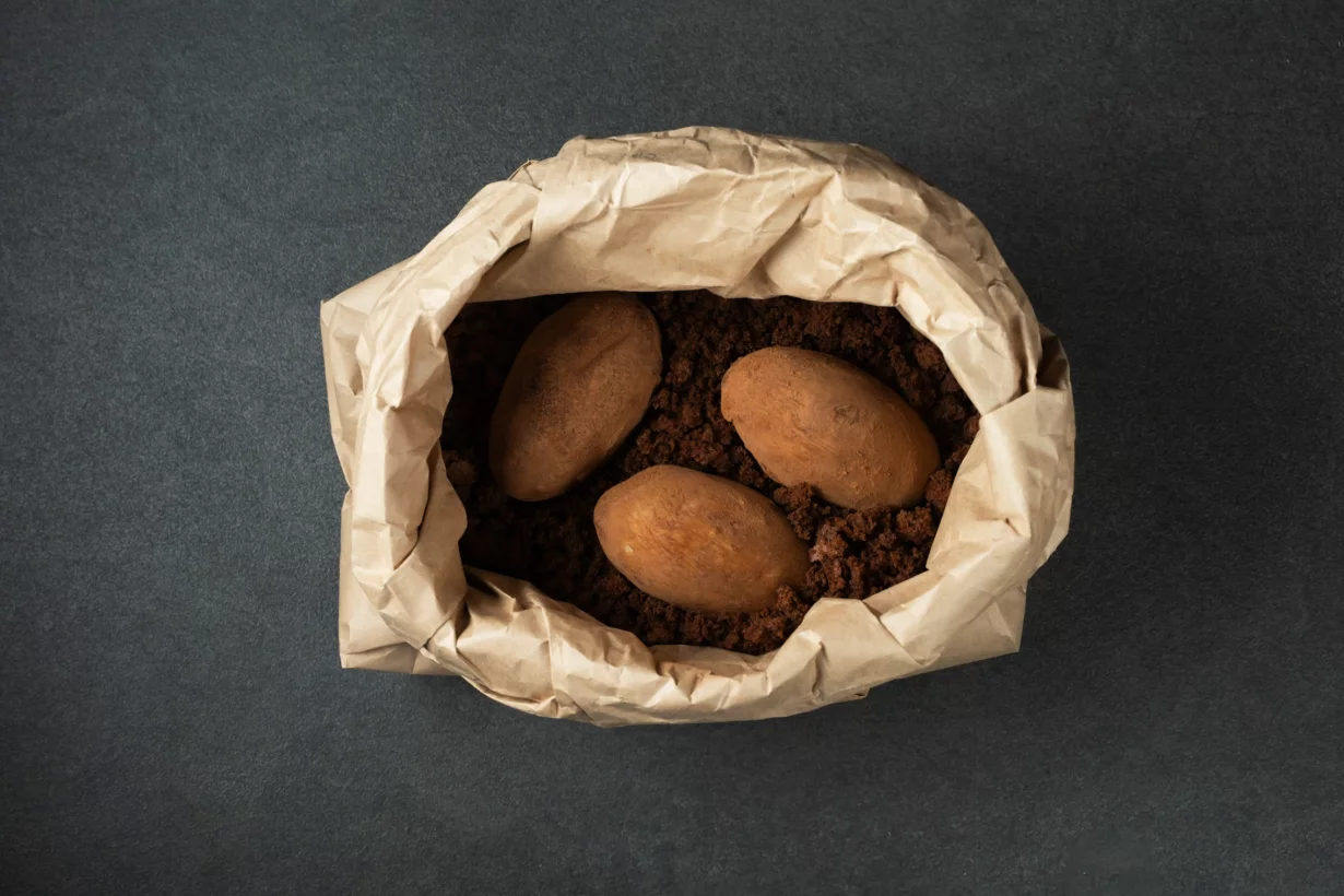 Интерьер/Экстерьер/Банкетная зона/Бар/Стол для двоих/Вход/Главный зал/Lounge зона ресторан Cherish фото