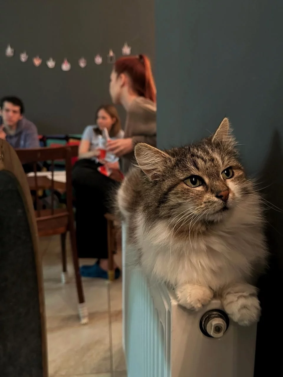 Интерьер/Экстерьер/Банкетная зона/Бар/Стол для двоих/Вход/Главный зал/Lounge зона антикафе Забавное место фото