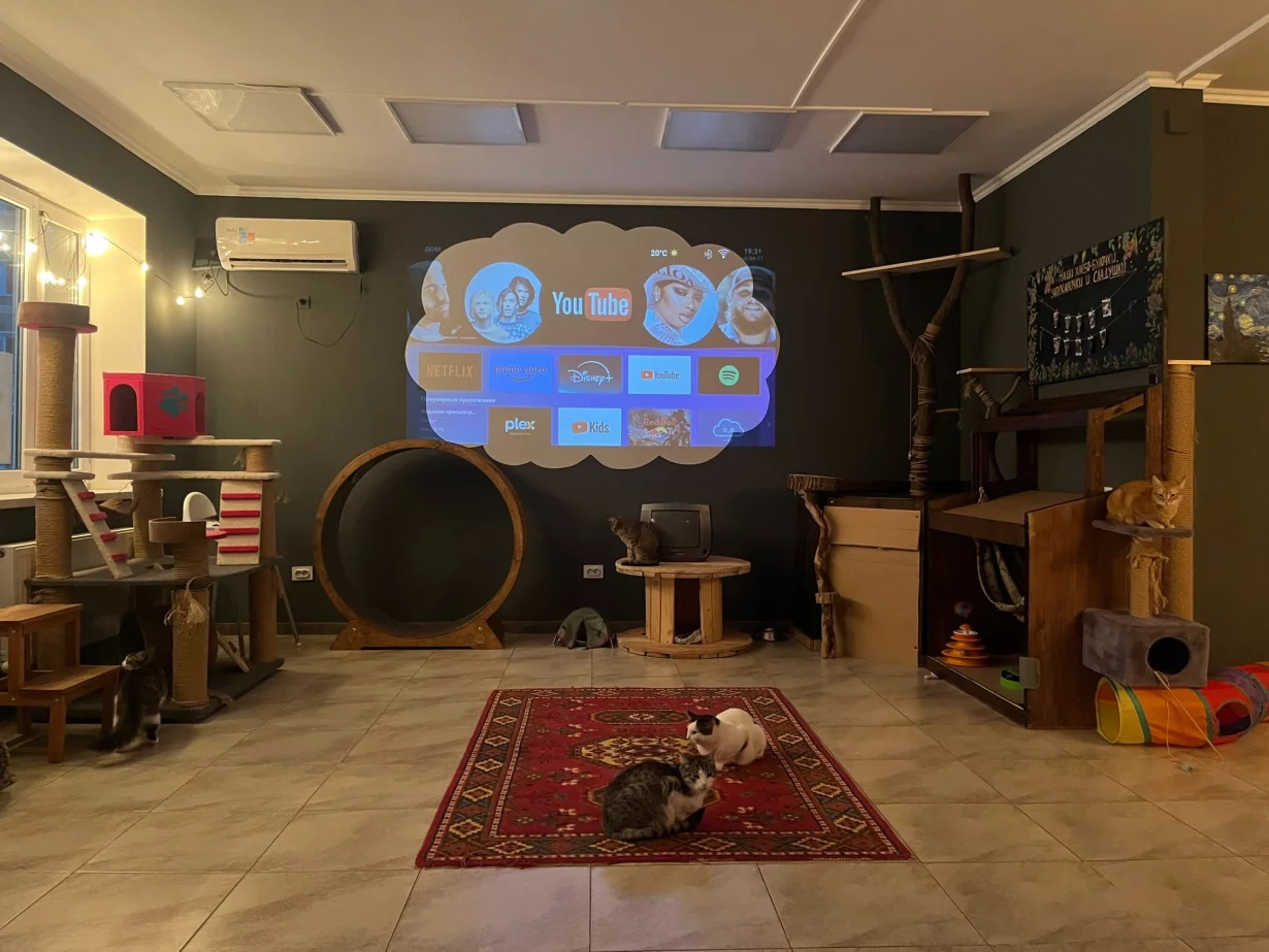 Интерьер/Экстерьер/Банкетная зона/Бар/Стол для двоих/Вход/Главный зал/Lounge зона антикафе Забавное место фото