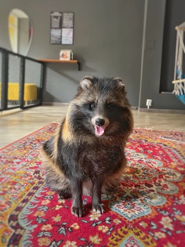 Интерьер/Экстерьер/Банкетная зона/Бар/Стол для двоих/Вход/Главный зал/Lounge зона антикафе Забавное место фото