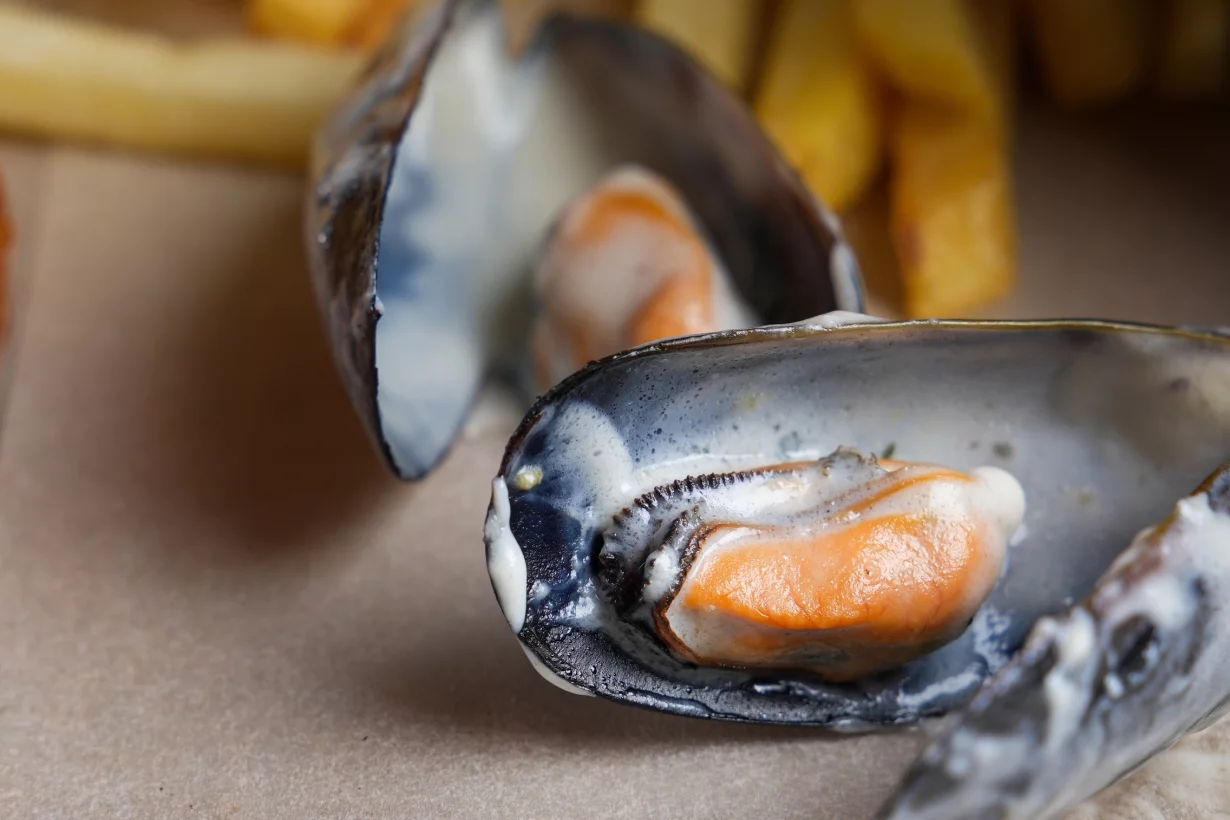 Интерьер/Экстерьер/Банкетная зона/Бар/Стол для двоих/Вход/Главный зал/Lounge зона кафе Мидийный дом фото