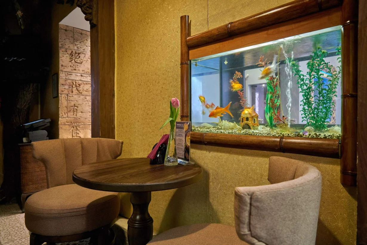 Дитай лесной просп 4 фото и видео Дитай лесной просп 4 фото и видео